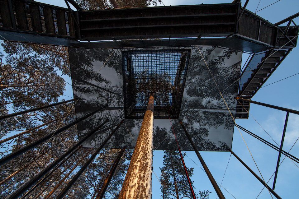 Сказочный отдых: появились снимки самого необычного отеля "на деревьях"