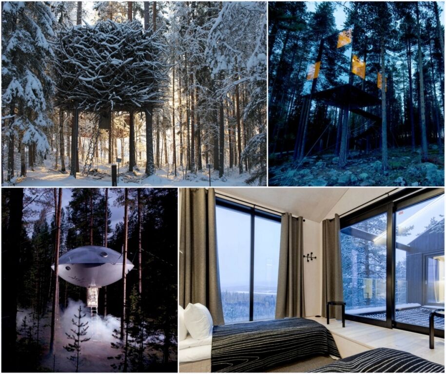 Сказочный отдых: появились снимки самого необычного отеля "на деревьях"