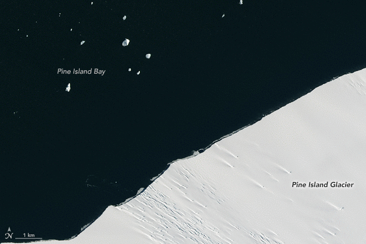 Мільйони життів у небезпеці: в Антарктиді руйнується величезний льодовик