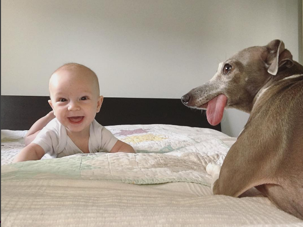 Справжня дружба: новонароджений малюк допоміг собаці повернути віру в людей