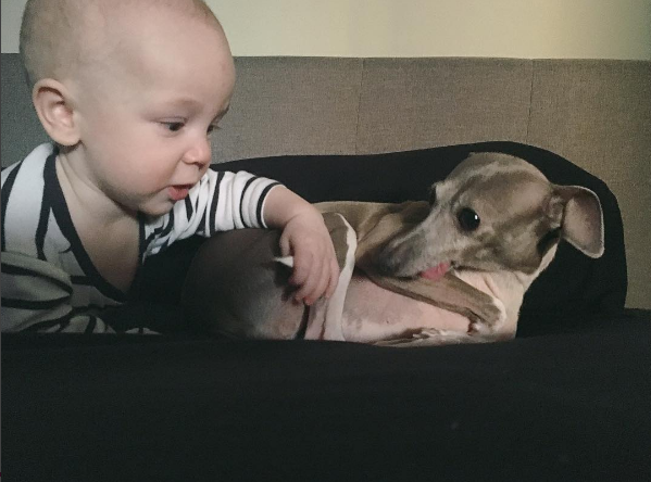 Настоящая дружба: новорожденный малыш помог собаке вернуть веру в людей