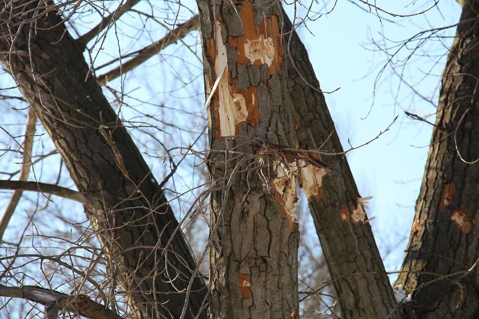 "Гатять з усього, що існує": бійці АТО показали фотодокази обстрілів із забороненої зброї