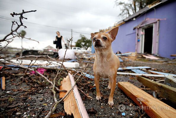 Летали дома, вырывались столбы: появились жуткие фото и видео разрушительного торнадо в США