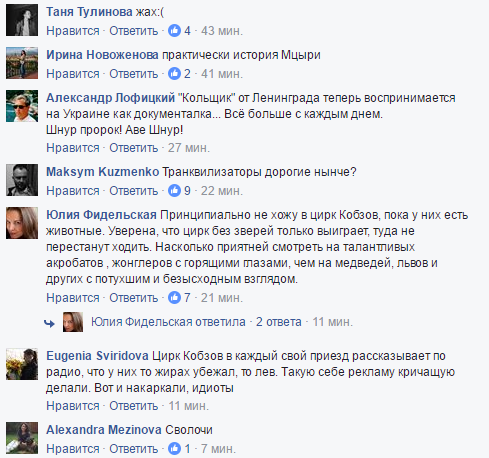 "Себя лучше застрелите": соцсети возмутило убийство цирковой львицы на Черниговщине