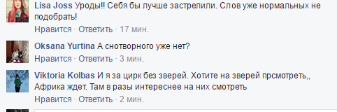 "Себя лучше застрелите": соцсети возмутило убийство цирковой львицы на Черниговщине