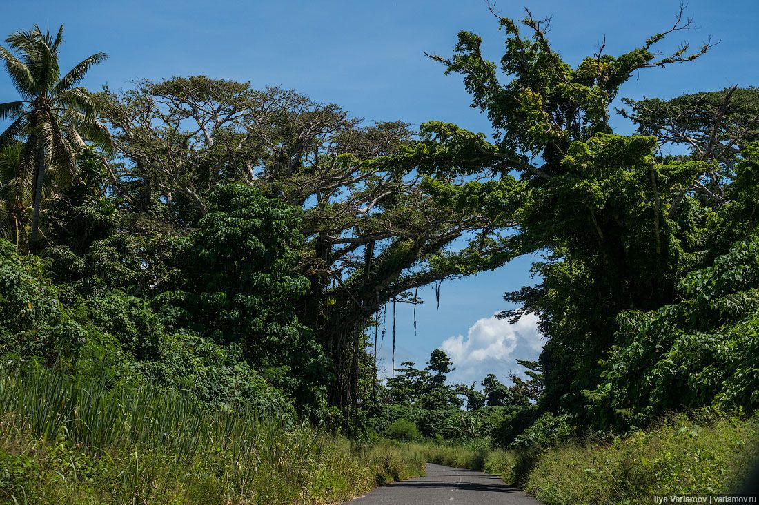 Вануату: красивая дорога и признание Абхазии