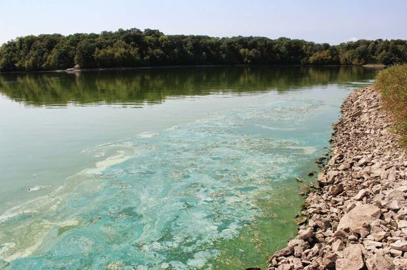 Гостра проблема: найбільш забруднені річки планети