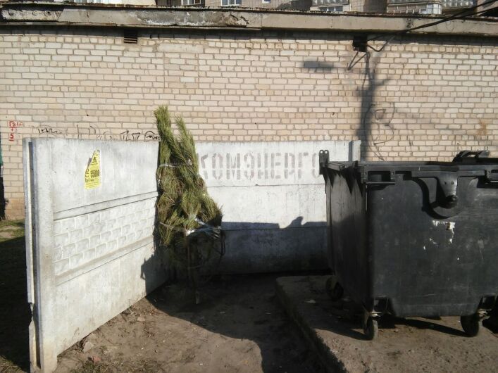 Еще один сдался: в Запорожской области на свалку вынесли елку (ФОТО)