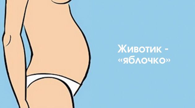 женский животик
