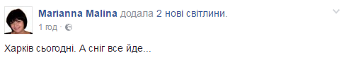 "Как откопать машину?" Фагот показал "снегокалипсис" в Харькове