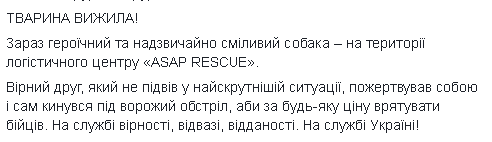 До сліз: українців зворушив пес, який врятував життя бійців АТО