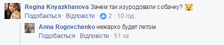 "Никогда не делайте этого": фото "голого" хаски взбудоражило сеть