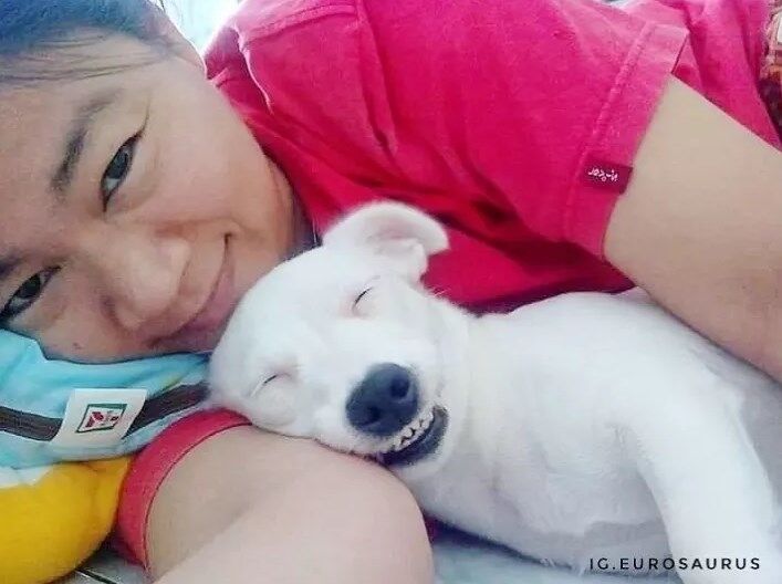 В сети нашли настоящую собаку-улыбаку: она точно победит вашу грусть