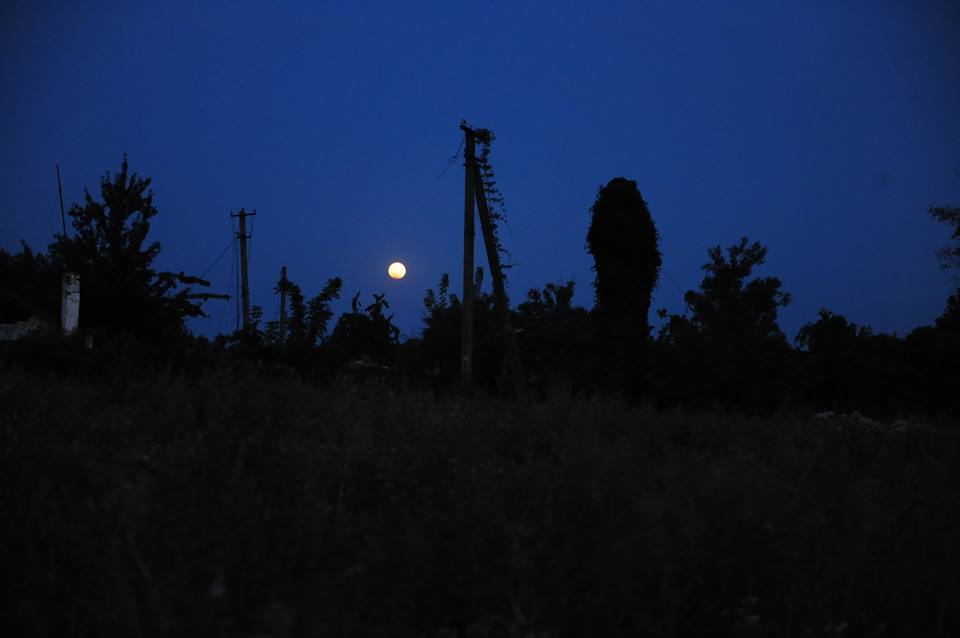 Не дайте им умереть