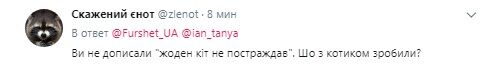 "Отдадим в хорошие руки": в Киеве супермаркет поразил сеть реакцией на скандал с кошкой