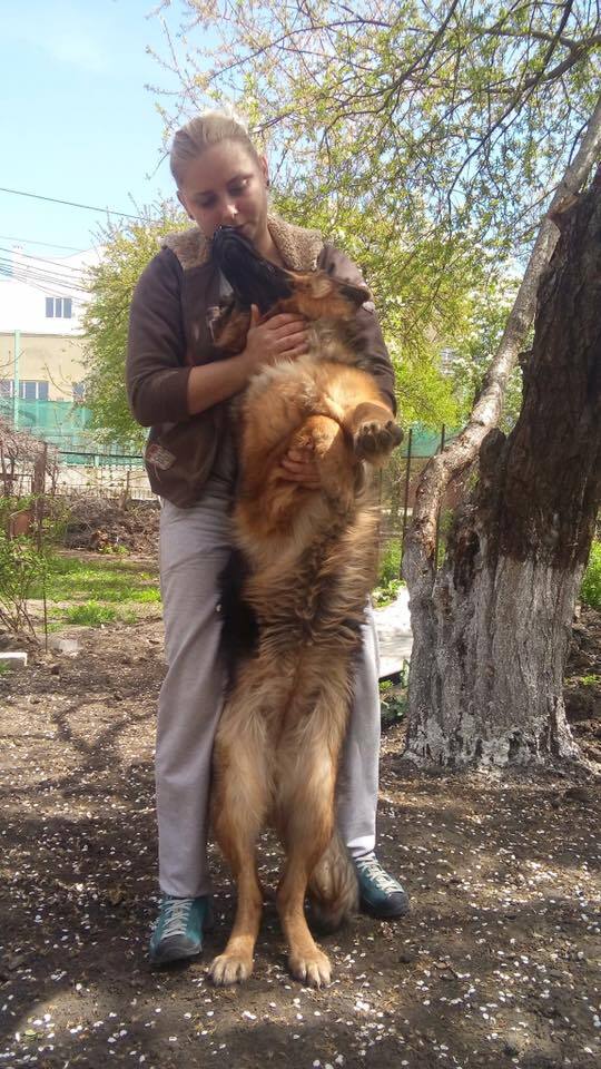 В Одесі розгорівся скандал через дивне відео з собакою: українці розділилися