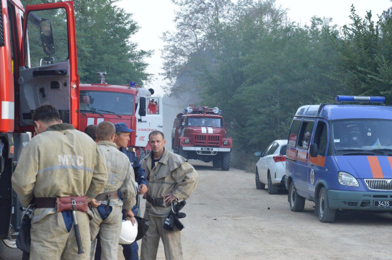 Вигоріло 80 га лісу: стало відомо про жахливу НС у Миколаївській області