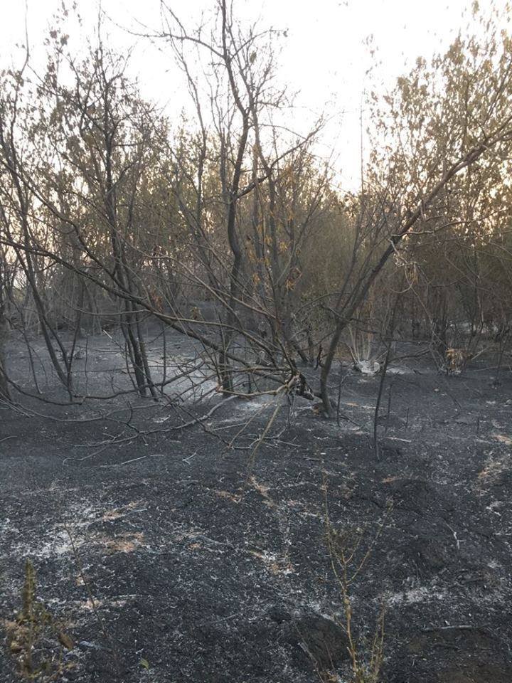 Люди вибігали, хто в чому був: на Донбасі майже повністю згоріло село