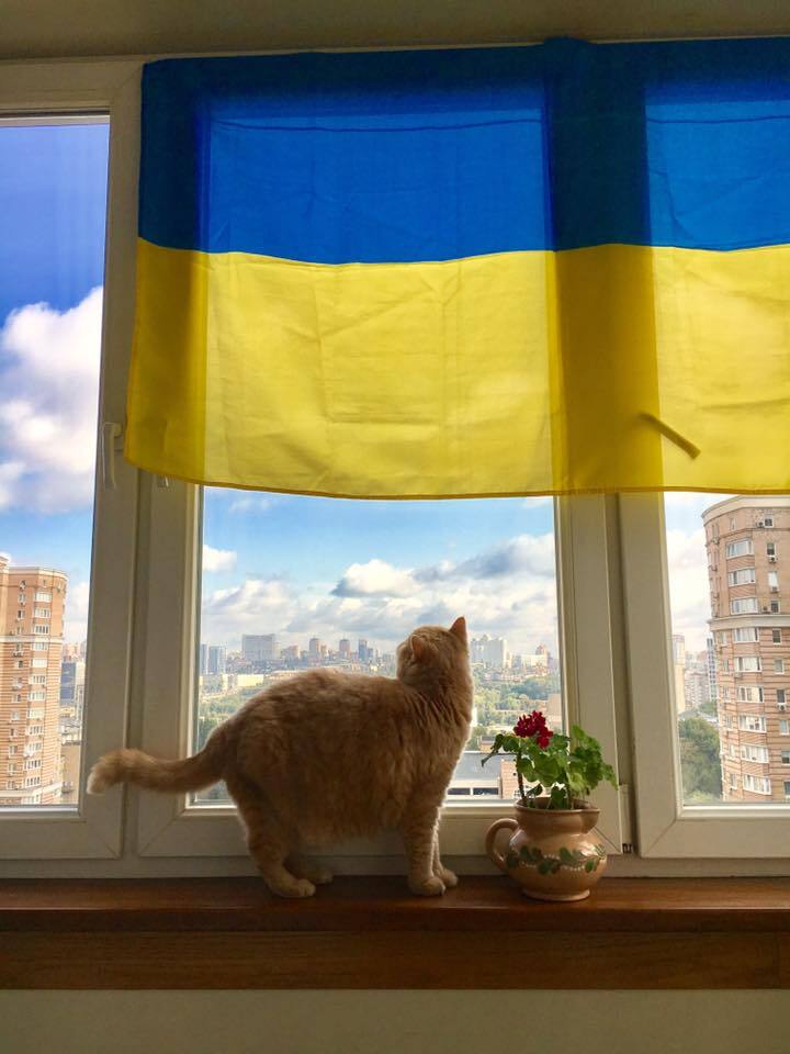 День прапора України 2017: як відзначають це свято