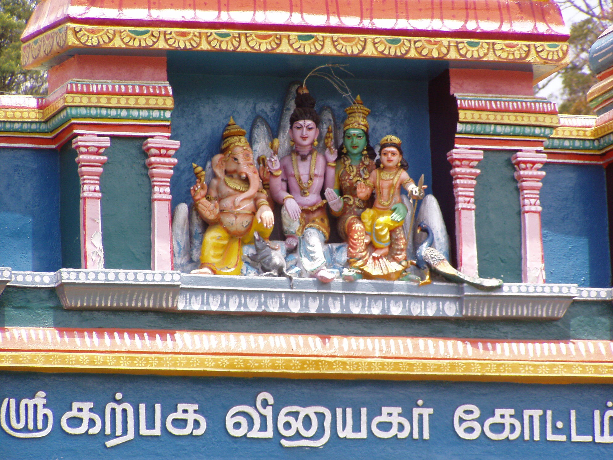 Флаг Украины и Индия: маг сообщил невероятные факты