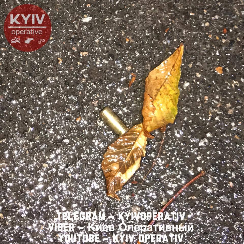В Киеве произошла стрельба в парке: есть пострадавшие