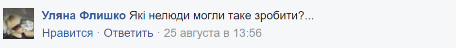 Варвари і нелюди: у Києві показали зруйнований меморіал герою Небесної сотні