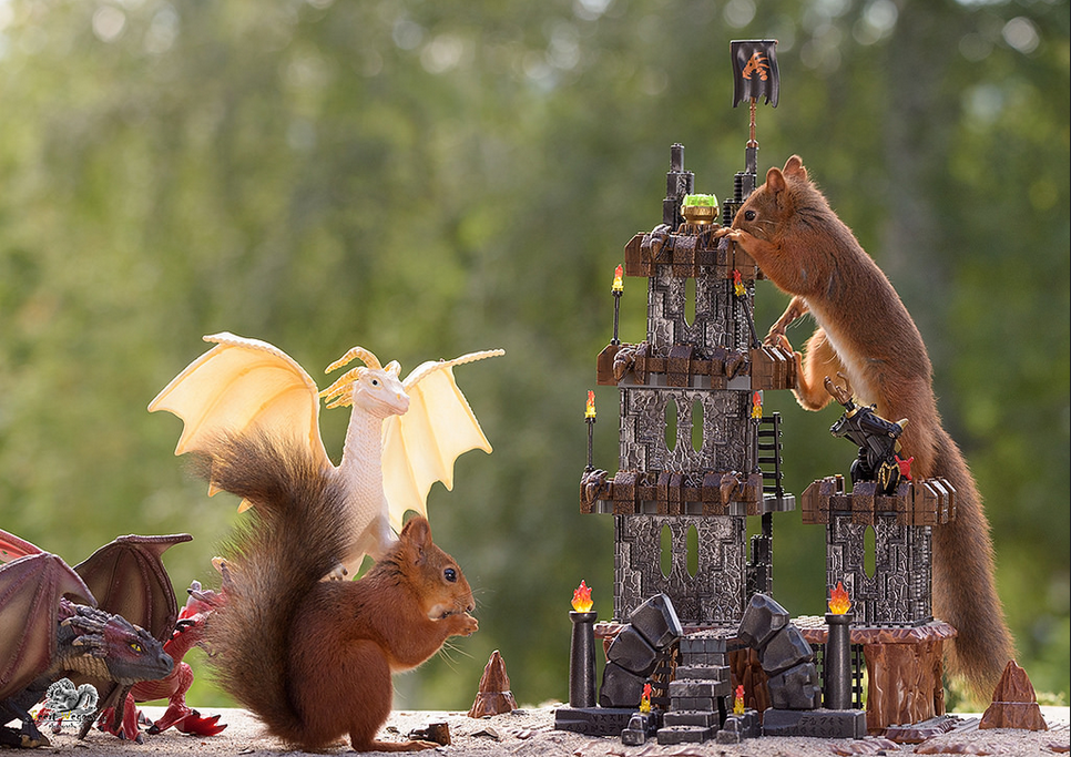 Фотограф креативно перезняв "Гру престолів": тепер головні герої - білки