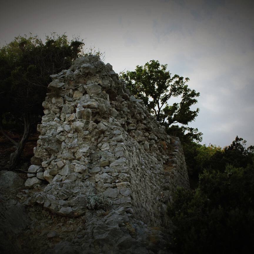 "Как террористы": в сети показали, как оккупанты уничтожают Крым