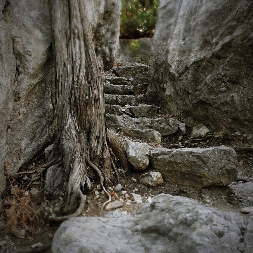"Как террористы": в сети показали, как оккупанты уничтожают Крым