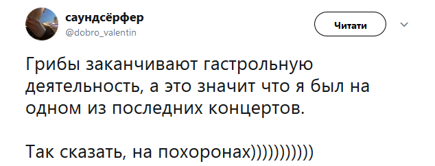 Решили хайпануть? Сеть в недоумении из-за ухода "Грибов" со сцены