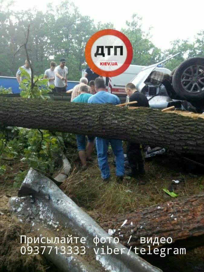  Дерево, що впало, спровокувало смертельну ДТП на трасі під Києвом 