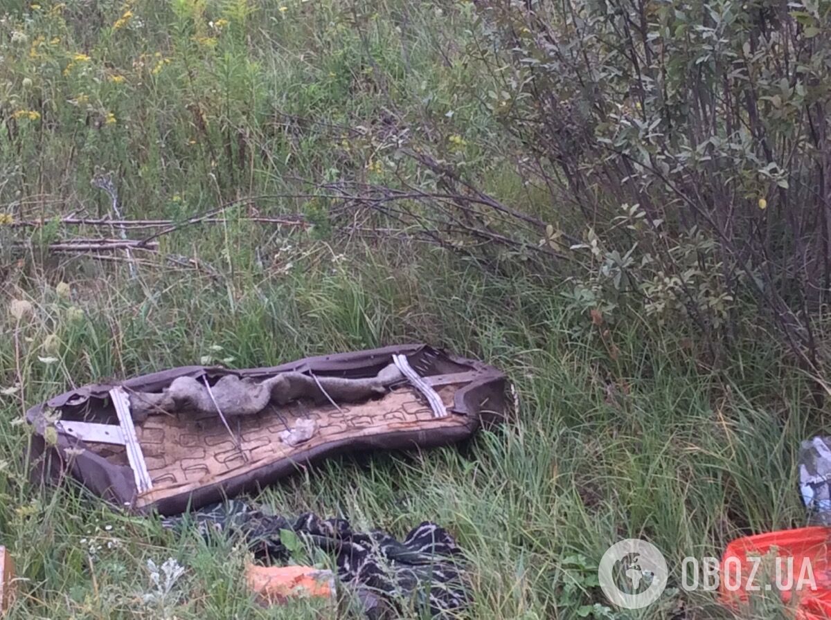 Померли сім осіб: опубліковані фото і відео з місця жахливої ​​ДТП під Києвом