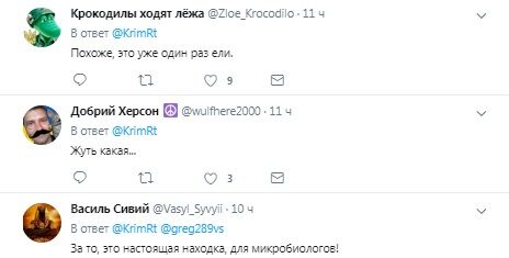 "Кішка відмовилася навіть нюхати": в мережі показали, чим окупанти годують жителів Криму