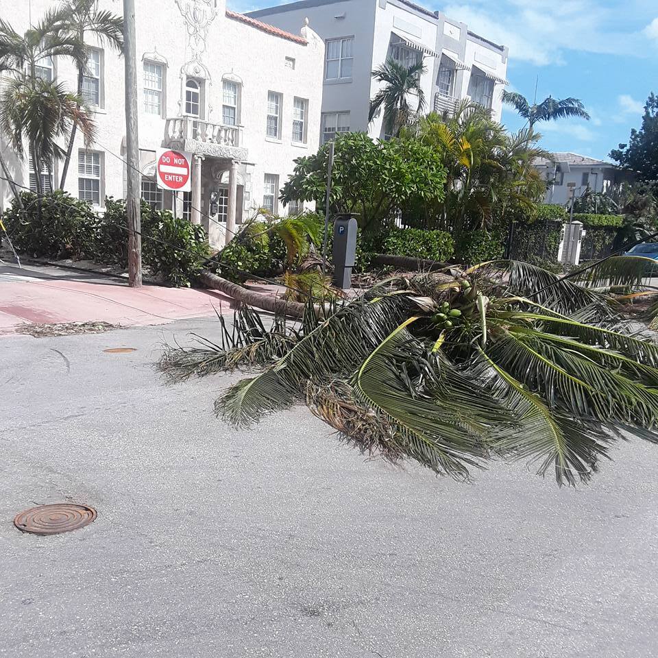 Майами после урагана "Ирма"