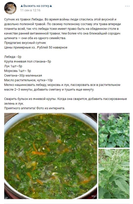 Каша из березы и суп из лебеды: в сети показали, как выживают россияне