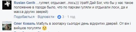 "Вийшов погуляти": соцмережу вразив величезний рогатий лось у Києві