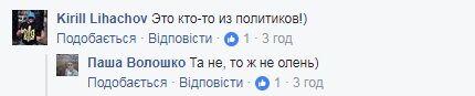 "Вышел погулять": соцсеть поразил огромный рогатый лось в Киеве