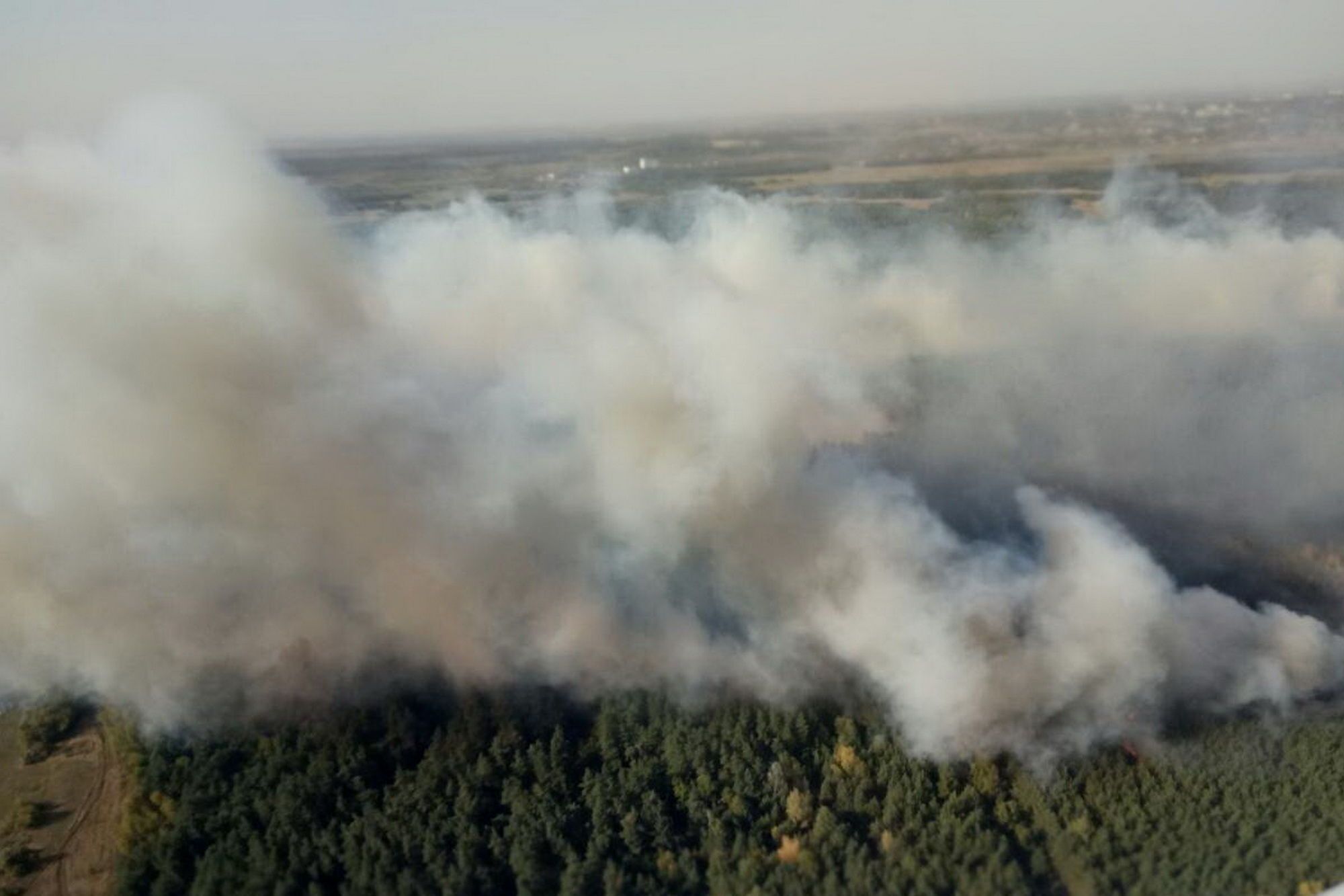 Харьковщину охватил масштабный пожар: горят леса, под угрозой населенные пункты
