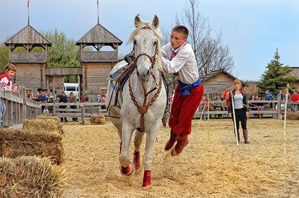 На выходных под Киевом будут соревноваться конные каскадеры