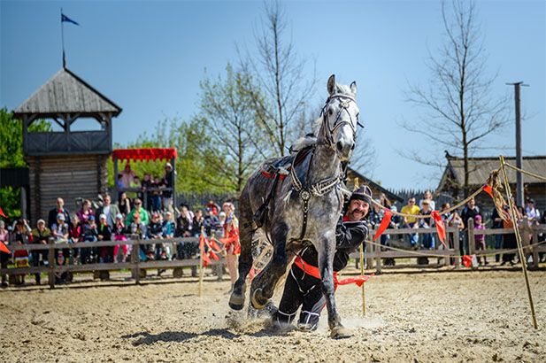 На выходных под Киевом будут соревноваться конные каскадеры