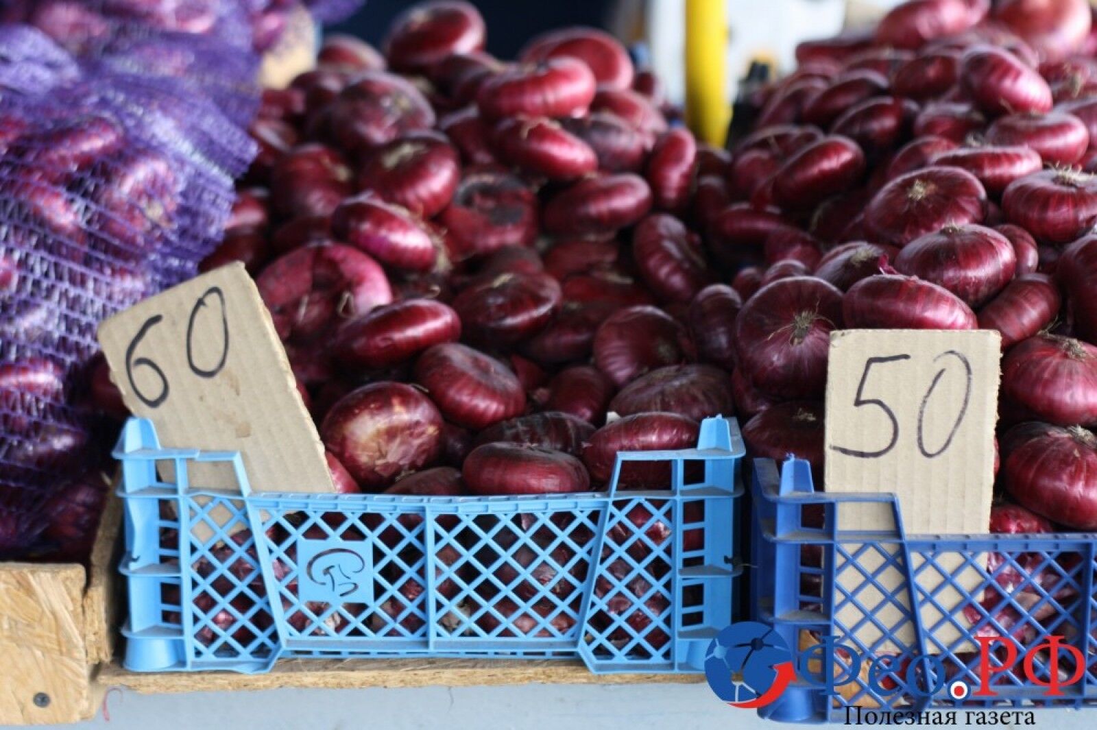 От цен в шоке: в сети показали заоблачную стоимость продуктов в Крыму
