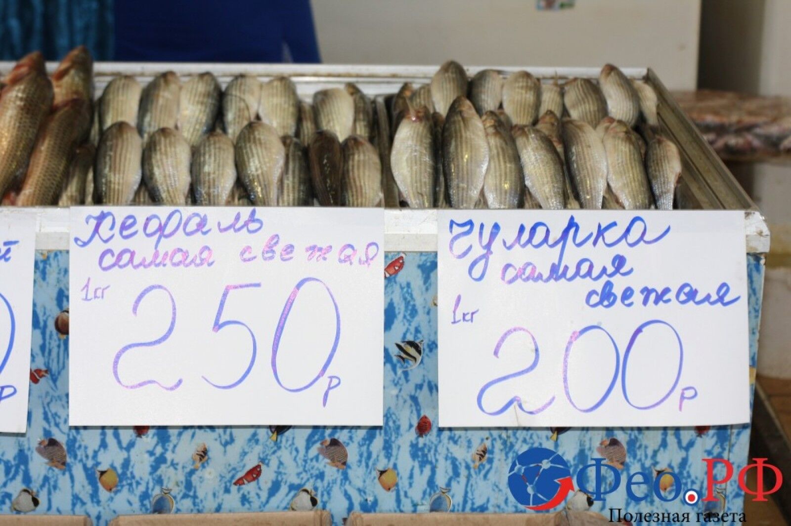 Від цін у шоці: у мережі показали захмарну вартість продуктів у Криму