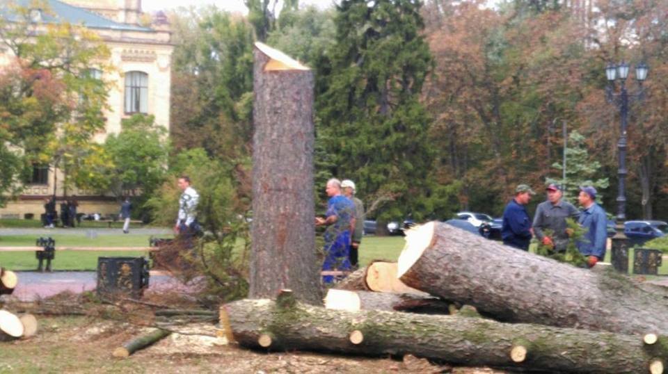 "Як піднялася рука?" Варварство біля КПІ не на жарт розлютило мережу