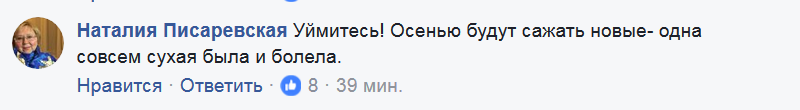 "Як піднялася рука?" Варварство біля КПІ не на жарт розлютило мережу