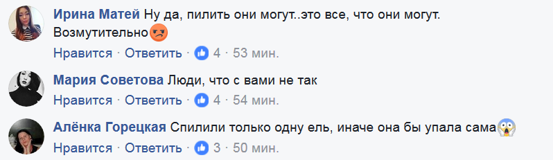 "Як піднялася рука?" Варварство біля КПІ не на жарт розлютило мережу