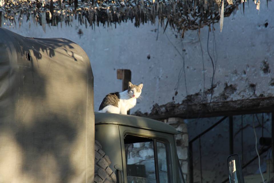 "Не зламала навіть війна": в мережі показали красу зруйнованого Донбасу