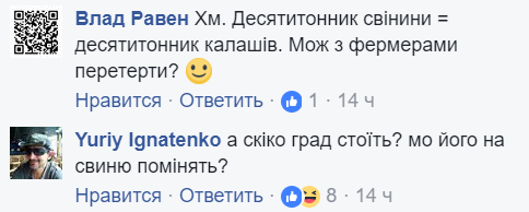 "А можно "Град" на свинью выменять?" Чудеса экономики "ЛНР" довели сеть до слез