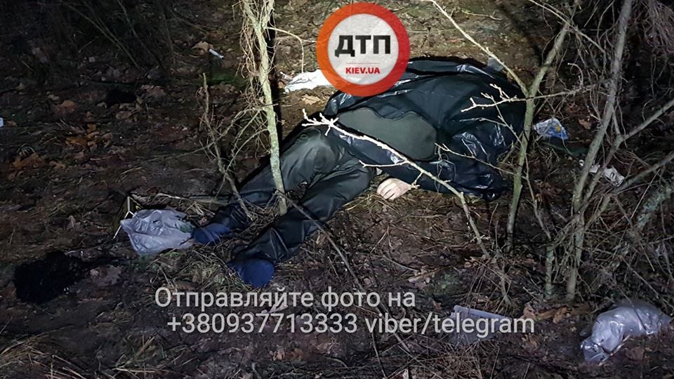 Под Киевом произошло смертельное ДТП: опубликованы жуткие фото