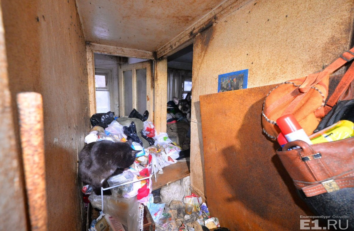 Фото квартири росіянки з полчищами тарганів і мух шокували соцмережу