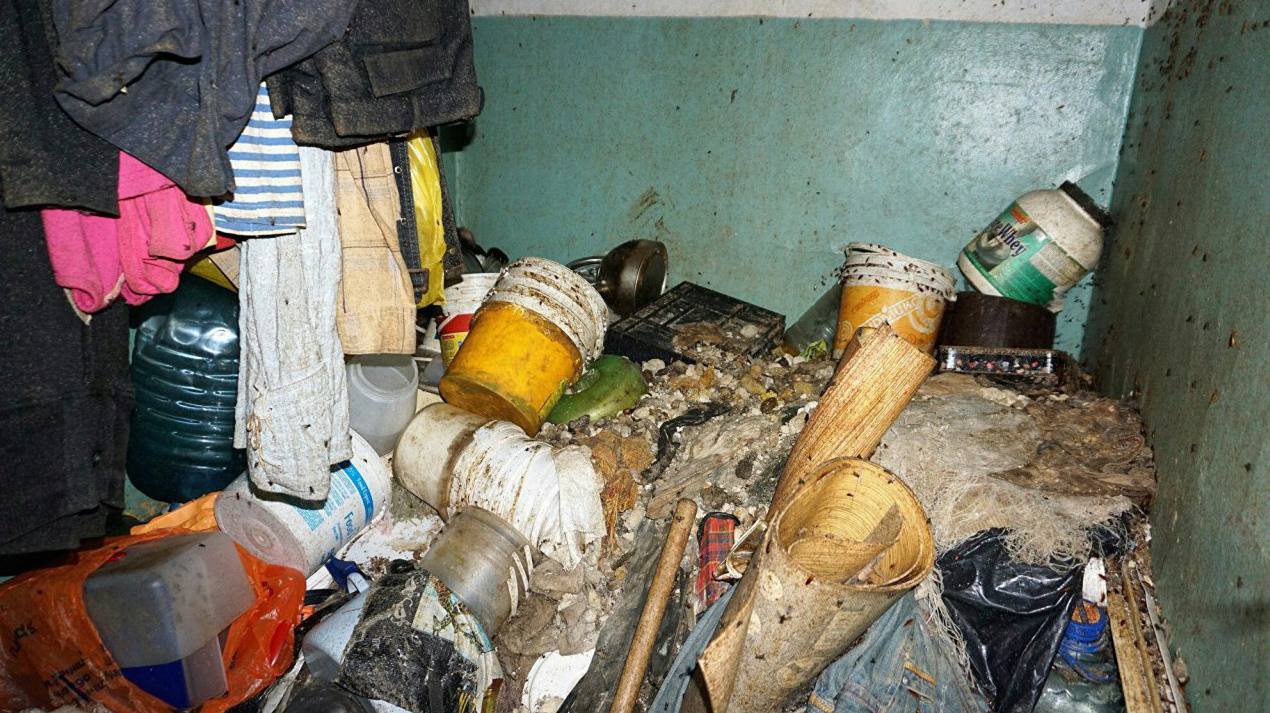 Фото квартиры россиянки с полчищами тараканов и мух повергли в шок соцсеть
